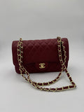 Borsa chany cherry 25cm